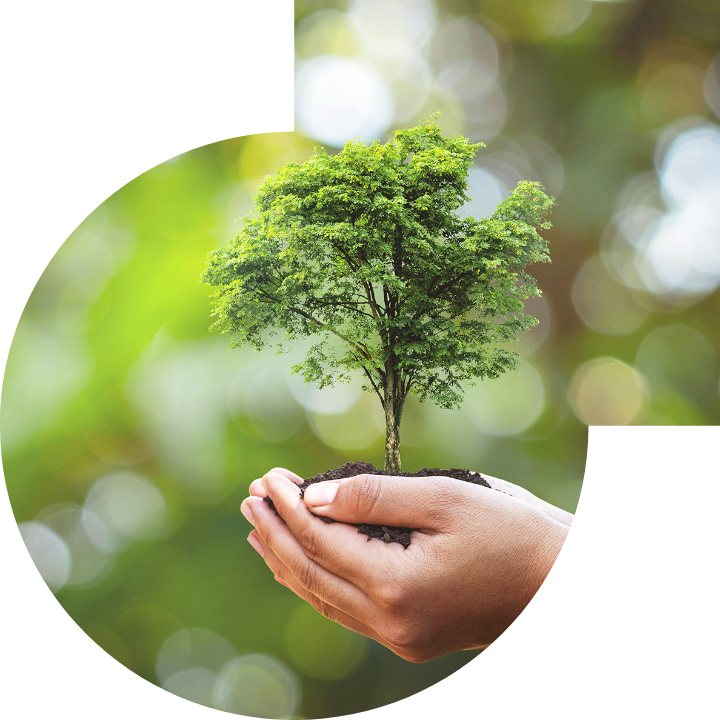 关怀人类、文化、环境与社会